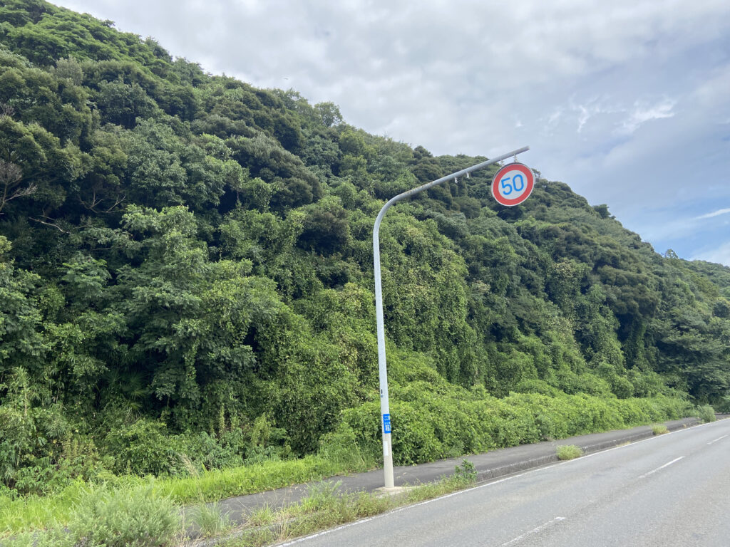 佐々町小浦免売地