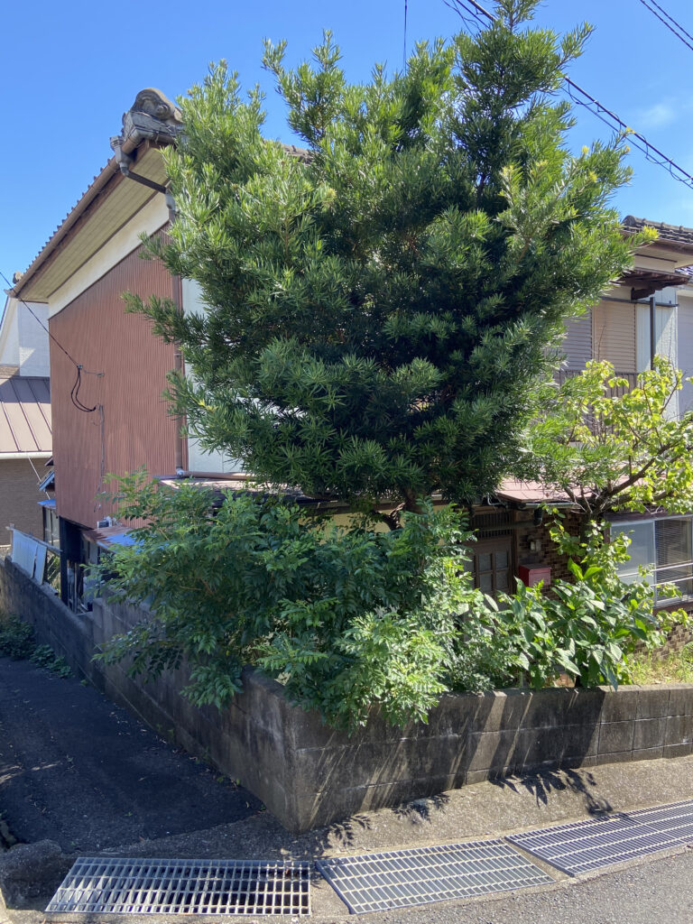 高梨町売地③