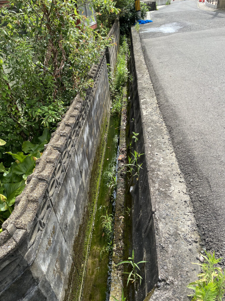 早苗町売土地①