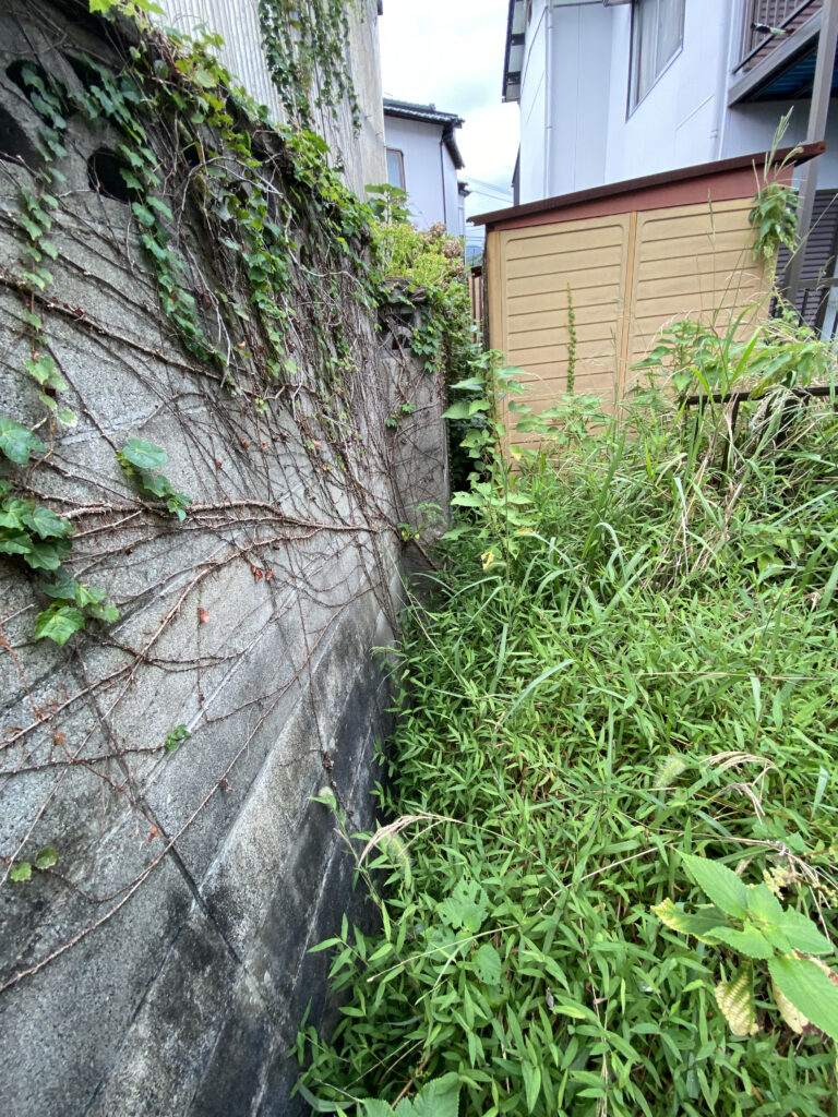 早苗町売土地②